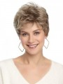 Natural Layered Wavy Gray Wig