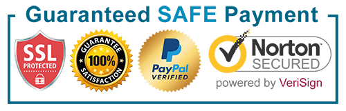 ewigsna Safe payment icon